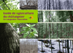 Guide de sylviculture du châtaignier en Languedoc