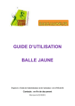 Guide BALLE JAUNE TCC