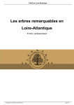 Les arbres remarquables en Loire-Atlantique