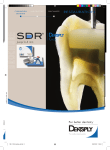 SDR` Dentsply