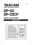DP-02 DP-02CF