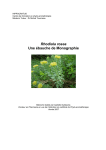 Rhodiola rosea Une ébauche de Monographie