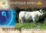 Génétique Repro Info Races Allaitantes