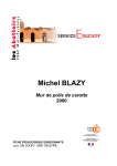 Michel Blazy, "Mur de poils de carotte"