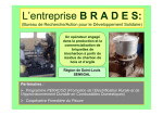 L`entreprise BRADES Bureau de Recherche/Action pour
