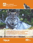 lignes directrices pour la prévention et la gestion des loups