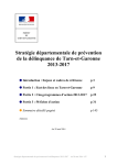 stratégie départementale au 28 mai 2014