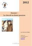 Dossier : Le cheval en demi-pension