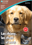 Les chiens, les chats et nous