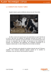 La conduite des vaches taries