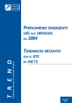 Metz rapport 2004