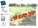 Taille des arbres fruitiers