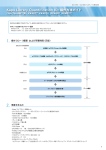 Kapa Library Quantification Kit 操作方法ガイド