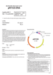 pNY326 DNA - Clontech Laboratories, Inc.