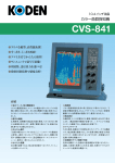 CVS-841