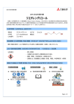 GPS 安全性要約書(GSS) ジエチレングリコール