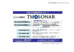 広告ページです。レポートは次ページから⇒⇒⇒ - TM