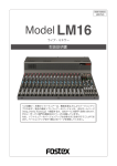ModelLM16