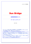 Sun Bridge