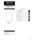 DSW-3.1