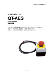 QT-AES