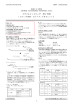 スタイレットスコープ ISS-1100 （スコープ本体・ファイバースタイレット） .