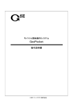 GeoPocket_Manual.