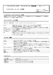 YH3048L-3（＋3.3V仕様）