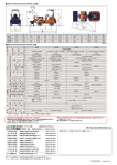 PDF - redemo.co.jp