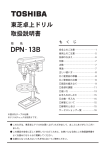 DPN-13B
