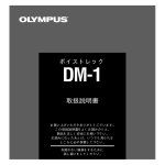 DM-1 取扱説明書