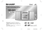 SD-GX1