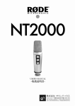 NT2000