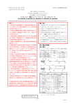 2002年2月15日作成（新様式第1版） 承認番号：申請中