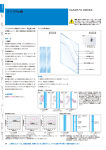 クリアFit®静