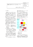 機械安全技術と安全・安心な社会システム