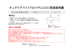 キュアケアバイトブロックPL（1201）取扱説明書