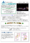 ラグナマリーナ通信 11 月号