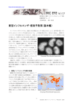 新型インフルエンザ・感染予防策（基本編）