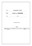 GlobalONE DYK39 SOMA Run 取扱説明書 1.0