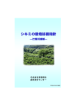 シキミの栽培技術指針−仁淀川流域