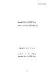 SaaS/EDI 首都圏WG 2009年度活動報告書 2010 年 3 月25日 SaaS