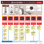 保 存 版