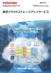 データ統合・活用の時代に適した ストレージアレイサービス