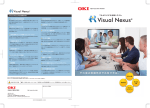 Visual Nexus カタログ