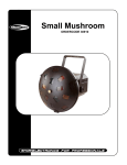 Small Mushroom