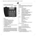 Gigaset 5040