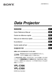 Data Projector