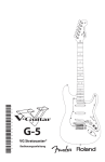 VG Stratocaster®