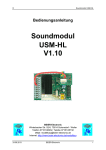 Soundmodul USM-RC - BEIER